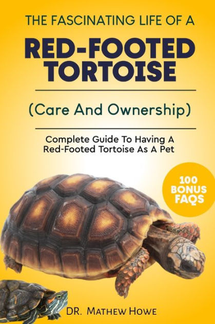 THE FASCINATING LIFE OF A RED-FOOTED TORTOISE: Complete Guide To Having ...