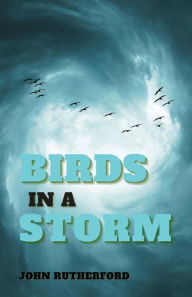 Title: Birds in a Storm, Author: John Rutherford