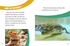 Alternative view 2 of Bearded Dragons and Crocodiles: Reptile Relatives