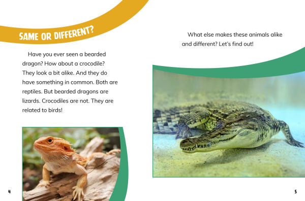 Bearded Dragons and Crocodiles: Reptile Relatives