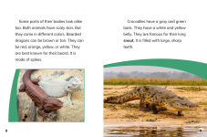 Alternative view 3 of Bearded Dragons and Crocodiles: Reptile Relatives
