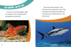 Alternative view 3 of Goldfish and Sharks: Fish Relatives