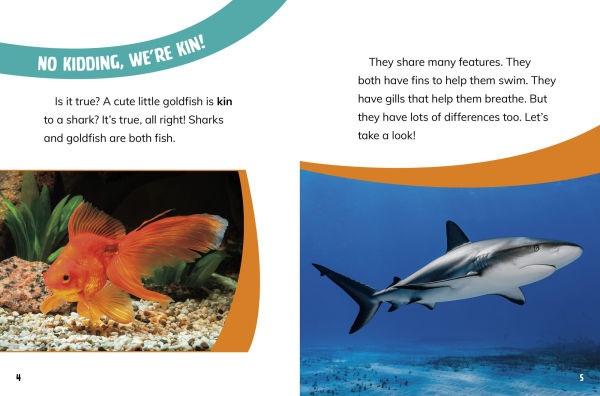 Goldfish and Sharks: Fish Relatives