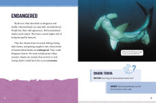 Alternative view 5 of Hammerhead Sharks at Risk: Saving These Unusual Predators