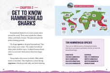 Alternative view 6 of Hammerhead Sharks at Risk: Saving These Unusual Predators