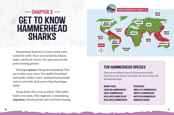 Hammerhead Sharks at Risk: Saving These Unusual Predators