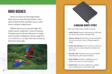Alternative view 2 of Macaws at Risk: Saving These Colorful Birds