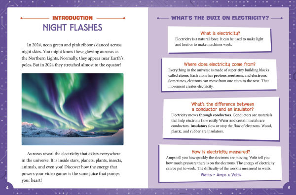 That's Shocking!: Electricity in Nature