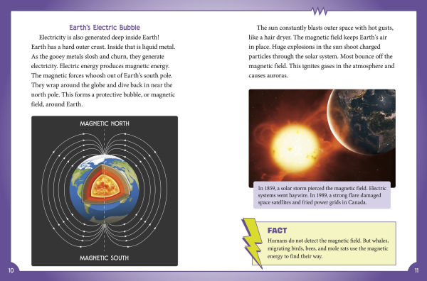 That's Shocking!: Electricity in Nature