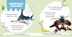 Alternative view 2 of What Do You Know About Wild Animals?