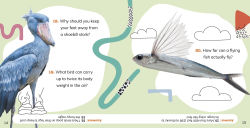 Alternative view 4 of What Do You Know About Wild Animals?