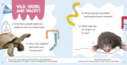 Alternative view 5 of What Do You Know About Wild Animals?