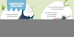 Alternative view 3 of What Do You Know About Wild Animals?