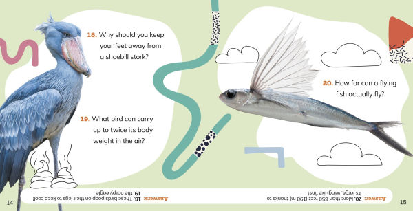 What Do You Know About Wild Animals?