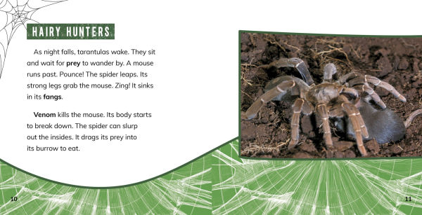 Tarantulas