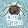 Wolf Spiders