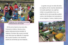 Alternative view 2 of Día de los Muertos