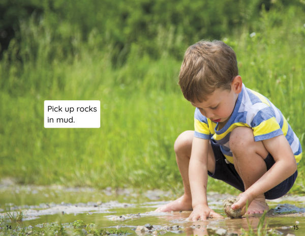 Rocks