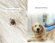 Alternative view 4 of My Pet at the Vet