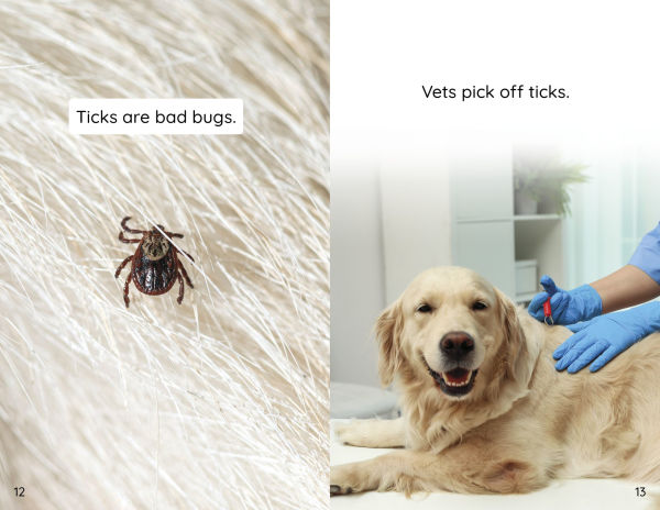 My Pet at the Vet