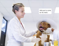 Alternative view 5 of My Pet at the Vet