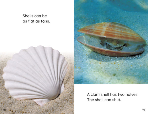 Shells