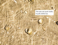 Alternative view 4 of Shells