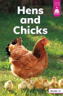 Hens and Chicks