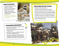 Alternative view 2 of Fascinating Lists About Nature's Grossest and Greatest