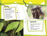 Alternative view 3 of Fascinating Lists About Nature's Grossest and Greatest