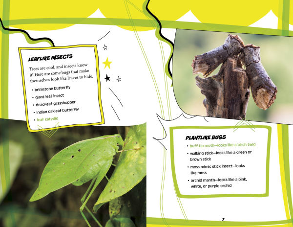 Fascinating Lists About Nature's Grossest and Greatest