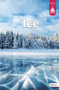 Title: Ice, Author: Laura Stickney