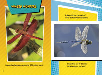 Alternative view 4 of Creepy Crawly Fact Frenzy!
