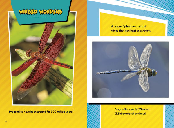 Creepy Crawly Fact Frenzy!