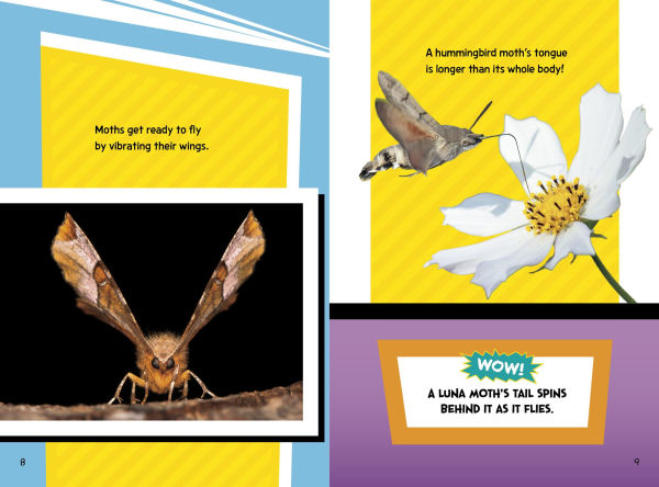 Creepy Crawly Fact Frenzy!