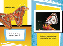 Alternative view 5 of Creepy Crawly Fact Frenzy!