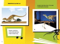 Alternative view 2 of Dinosaur Fact Frenzy!