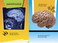Alternative view 4 of Human Body Fact Frenzy!