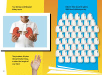 Alternative view 5 of Human Body Fact Frenzy!