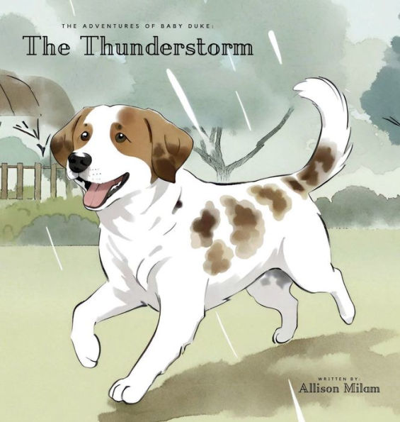 The Adventures of Baby Duke: The Thunderstorm:
