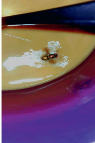 Title: EveryThing is a ChainReaction:: REVENGE OF THE 1980's CRACKBABY turning gold into lead, Author: Michael A. Douglas