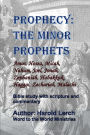 Prophecy: The Minor Prophets:Amos, Hosea, Micah, Nahum, Joel, Jonah, Zephaniah, Habakkuk, Haggai, Zechariah, Malachi