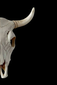 Title: Western Journal Cow Skull, Author: Buck Tumbleweed