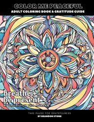 Title: Color Me Peaceful Adult Coloring Book and Gratitude Guide, Author: Brandon Stone