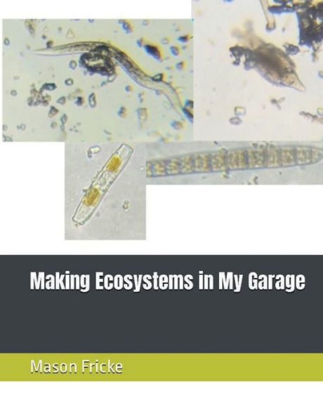 Making Ecosystems in My Garage