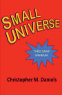 Small Universe: A Funny Thing Happened on the Way to the Universe