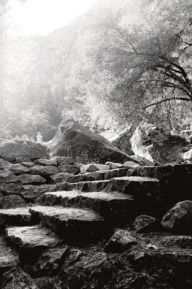 Title: Black and White Journal: Yosemite, Author: Tammi Renfro