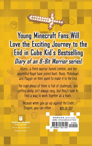 A Noob's Diary of an 8-Bit Warrior: Welcome to the End