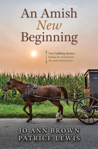 Title: An Amish New Beginning, Author: Jo Ann Brown