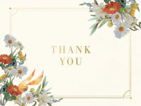 Alternative view 4 of Harry Potter: Magical World Thank You Boxed Cards (Set of 30)